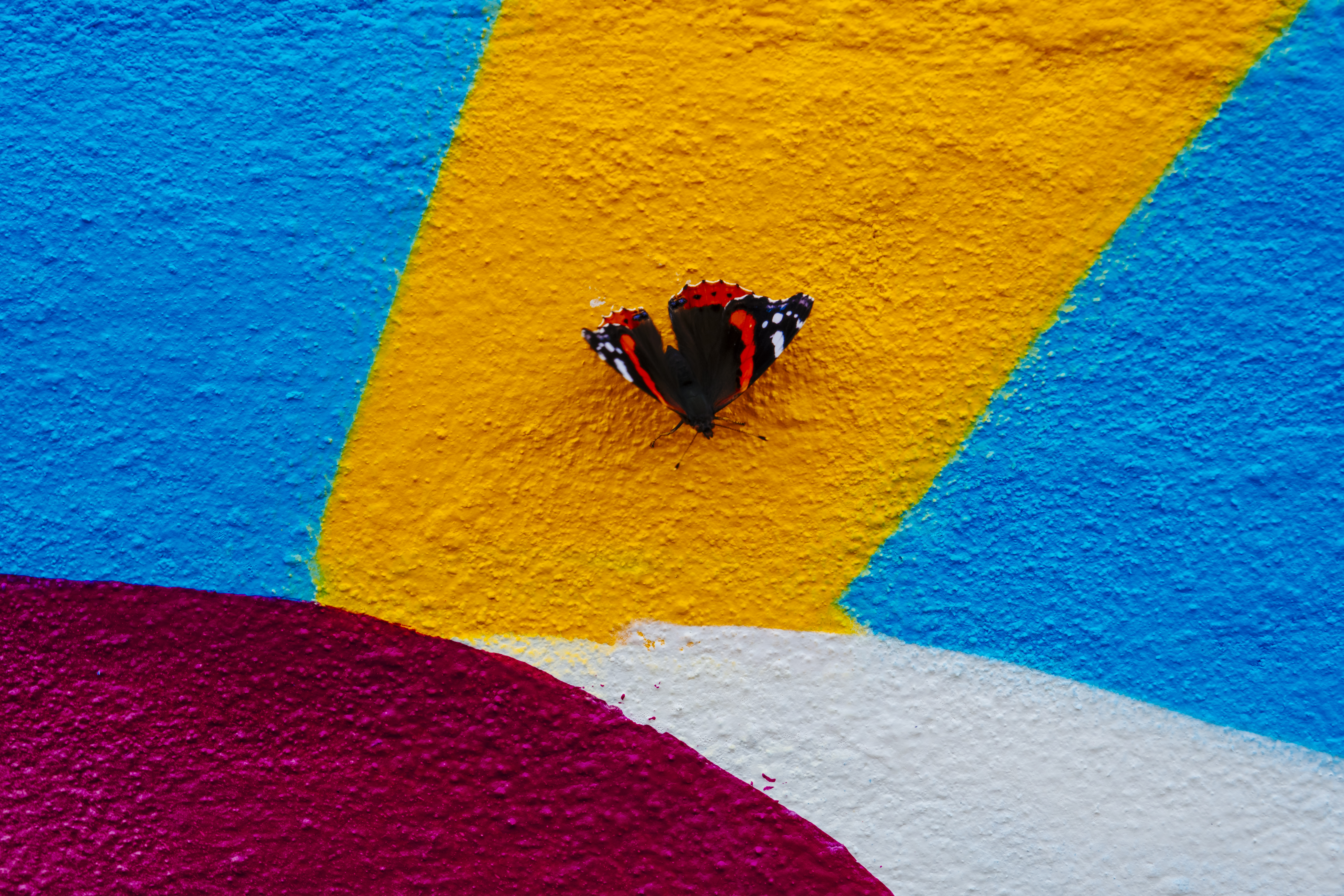 Mural Kruella D'Enfer - Detalhe 19