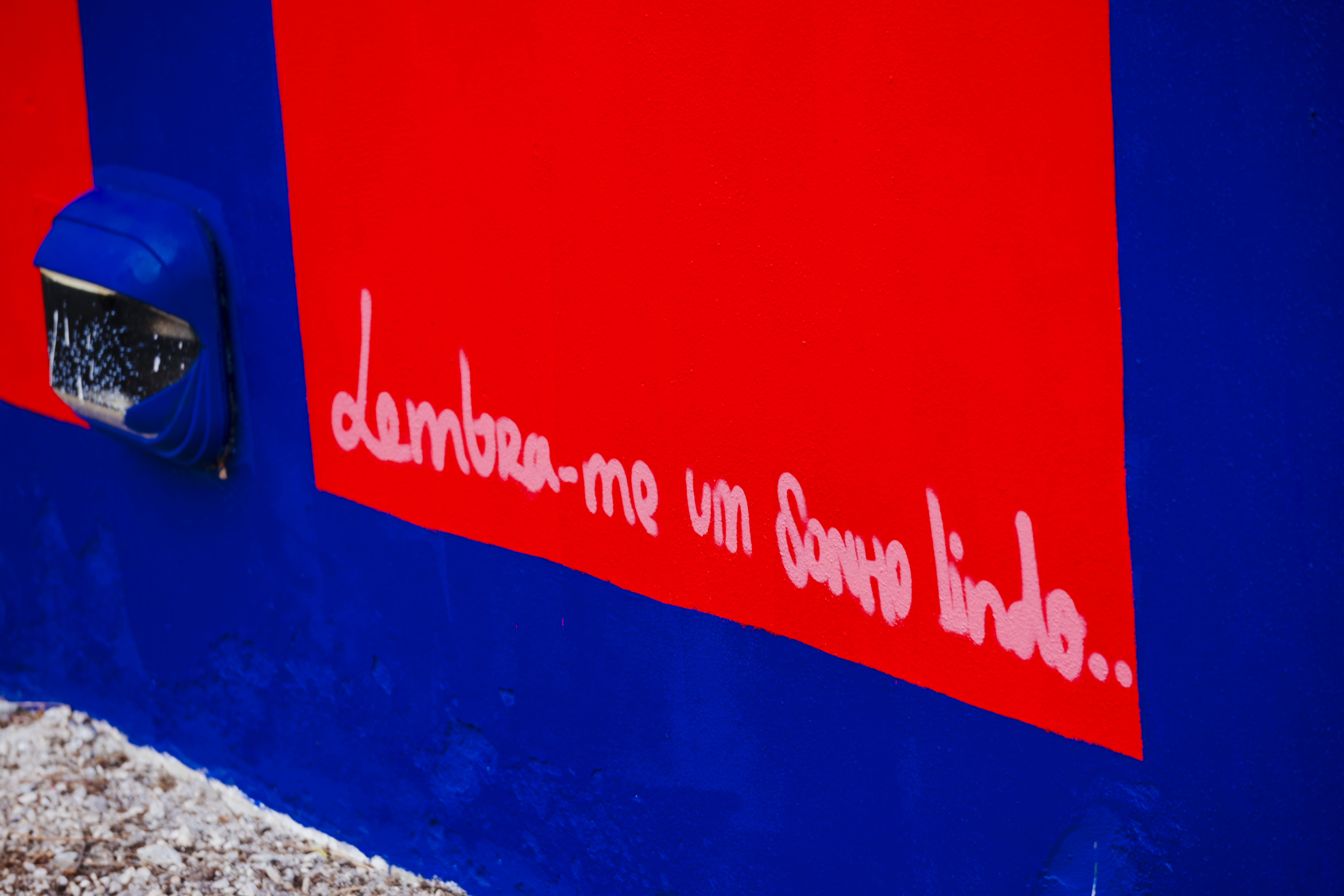 Mural Kruella D'Enfer - Detalhe 30