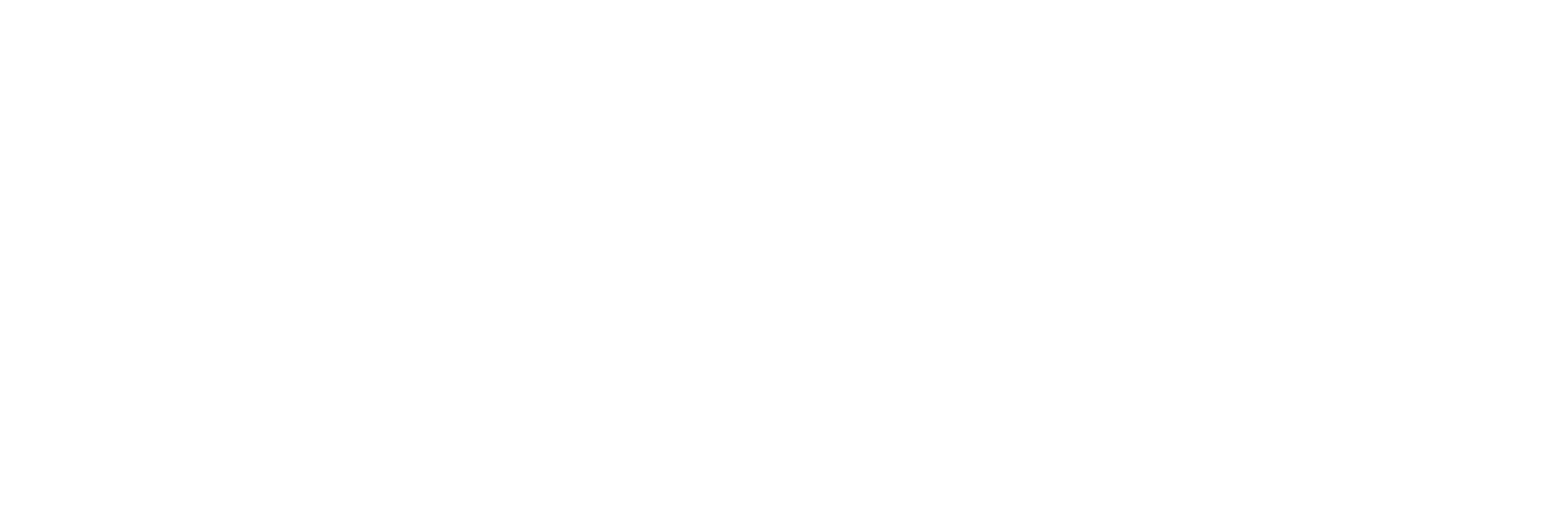 LA RAGE